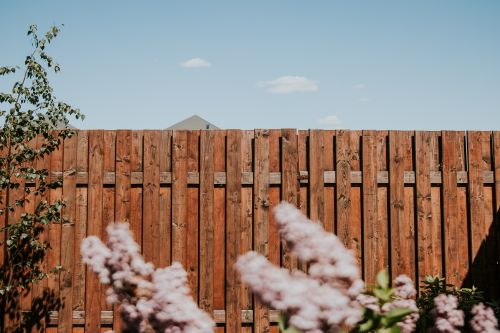 Wood fence surrounded by pink flowers, against a blue sky - Big Florida Fencing